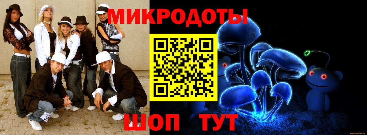 Псилоцибиновые грибы Psilocybe Мценск